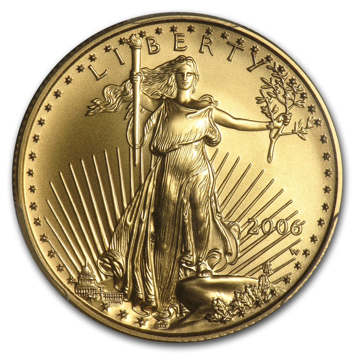 2006-W 1/2 oz Burnished American Gold Eagle MS/SP-70 PCGS