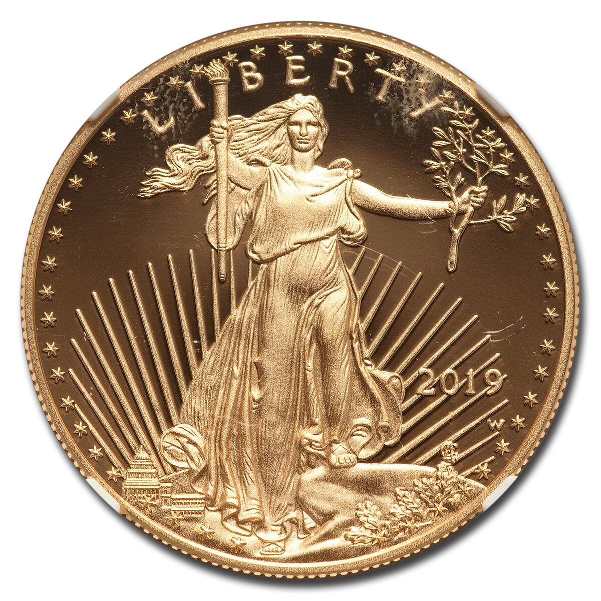2019-W 1 oz Proof American Gold Eagle PF-70 UCAM NGC (Moy)