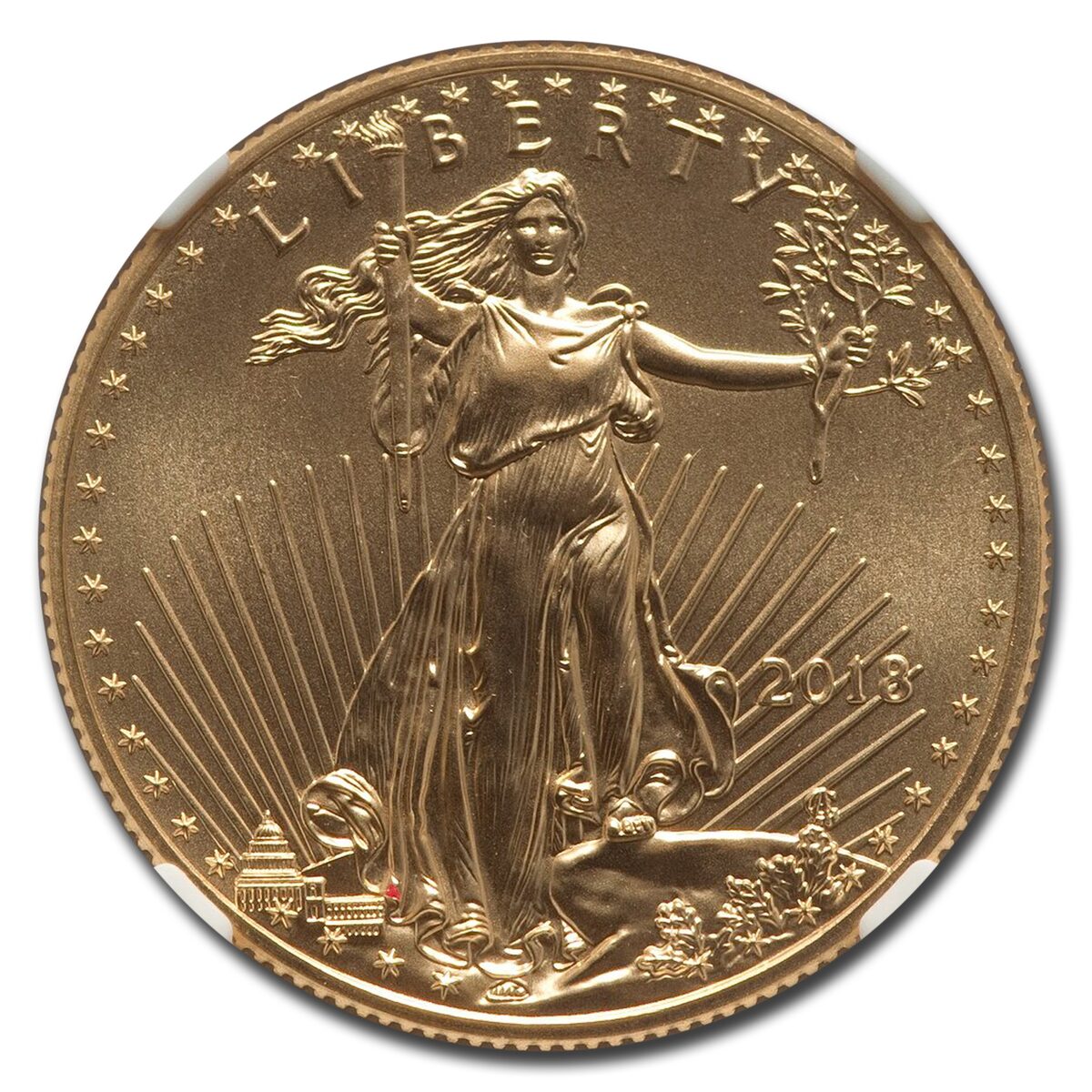 2018 1/2 oz American Gold Eagle MS-70 NGC (Moy)