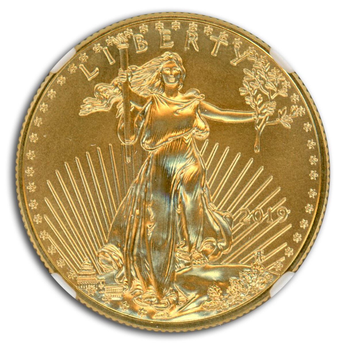 2019 1/2 oz American Gold Eagle MS-70 NGC (Everhart)