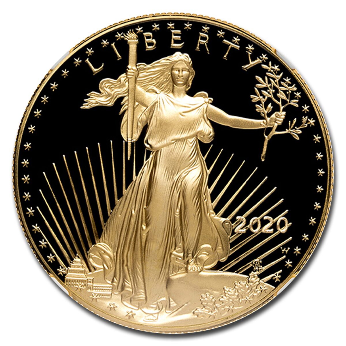 2020-W 1 oz Proof American Gold Eagle PF-70 NGC