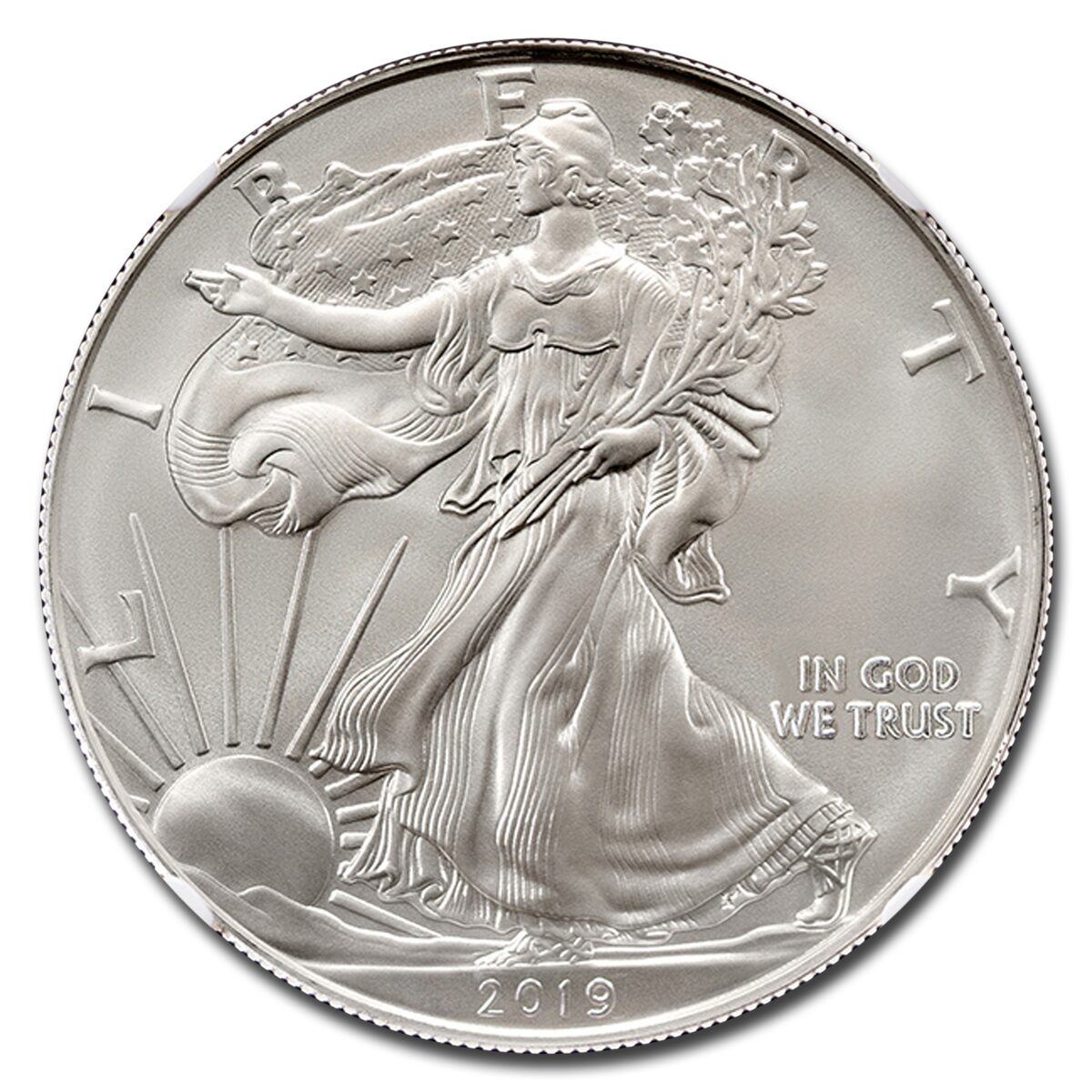 2019-W Burnished Silver Eagle MS-70 NGC
