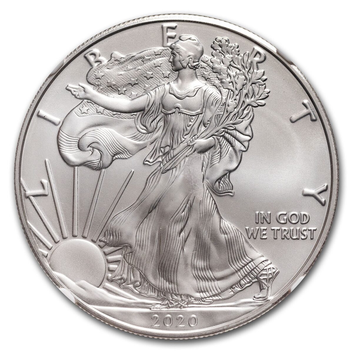 2020 American Silver Eagle MS-70 NGC (Everhart)