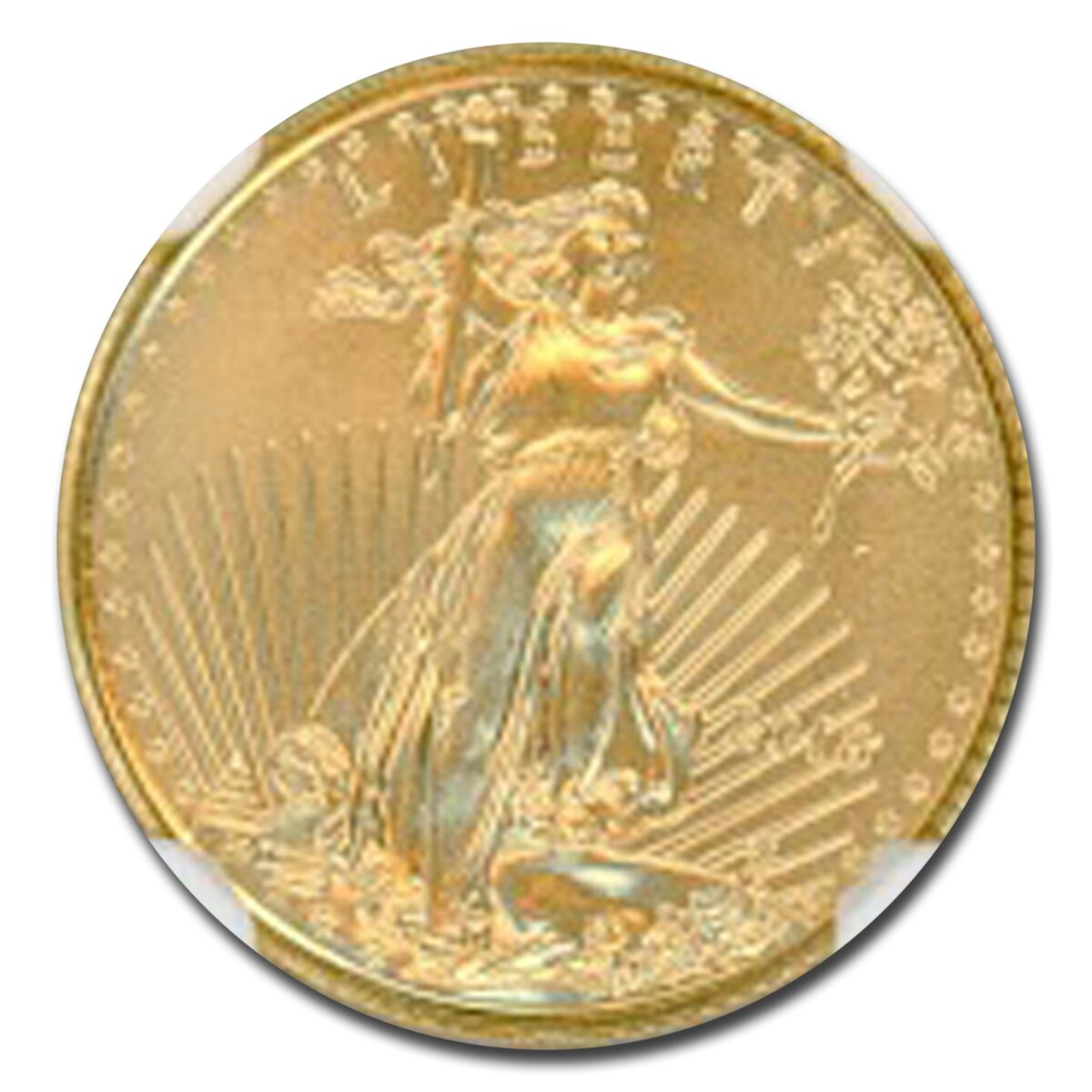 2018 1/10 oz American Gold Eagle MS-70 NGC (Everhart)