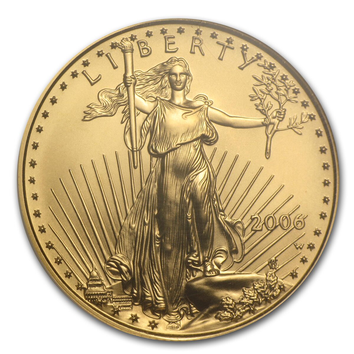 2006-W 1/2 oz Burnished American Gold Eagle MS-70 NGC