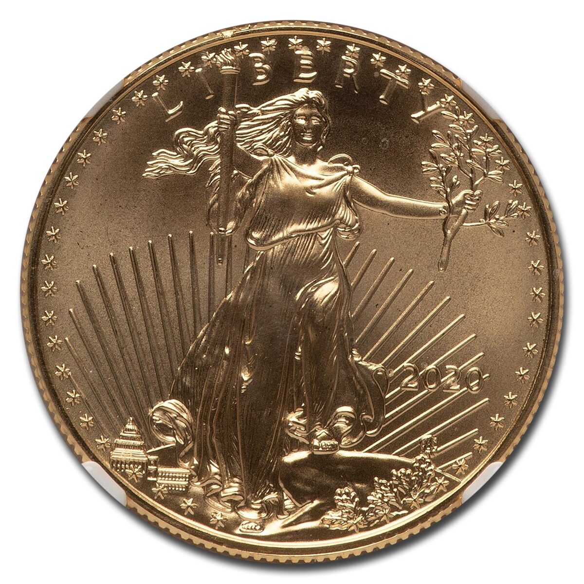2020 1/2 oz American Gold Eagle MS-70 NGC