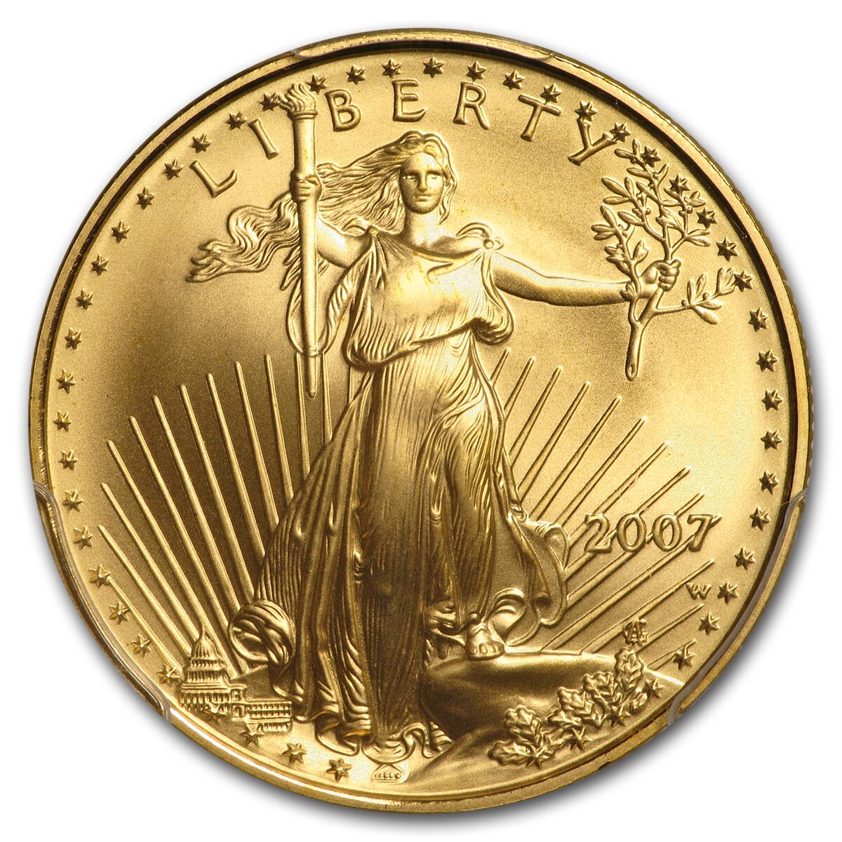 2007-W 1/2 oz Burnished American Gold Eagle MS-69 PCGS