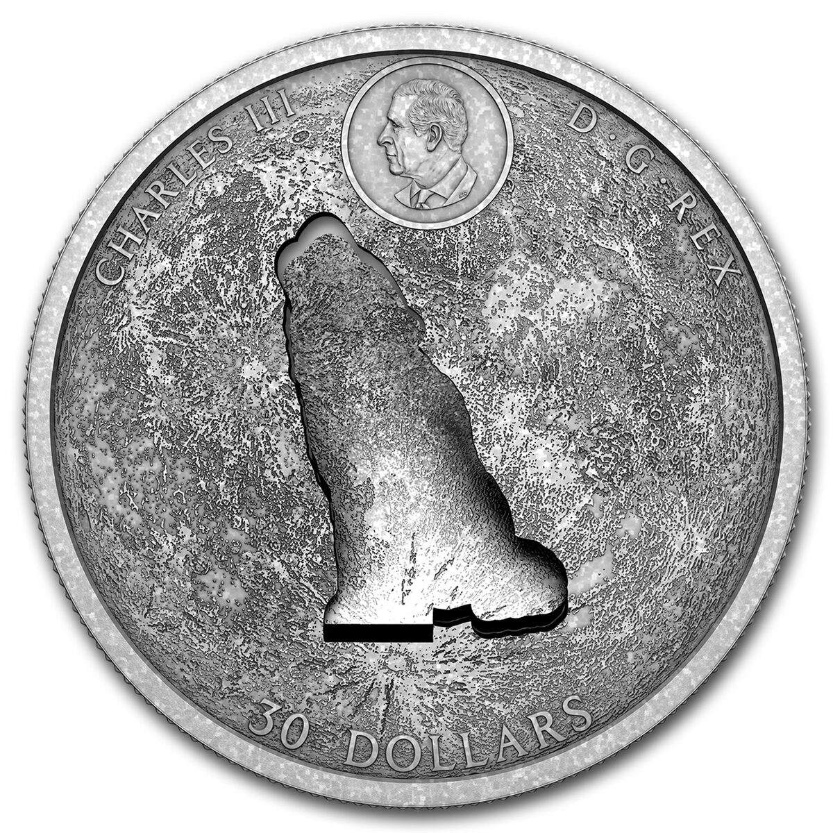 2024 Canada 2 oz Silver $30 The Howling Wolf