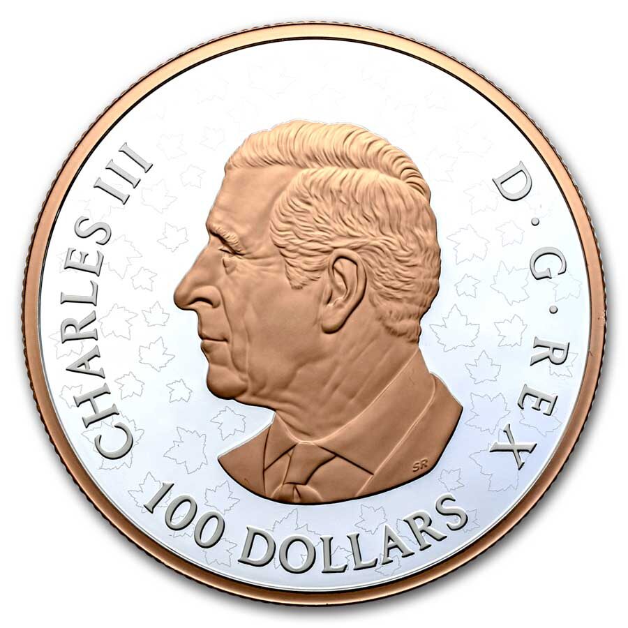2025 Canada 10 oz Silver $100 Gleaming Maple Leaves Box/COA)