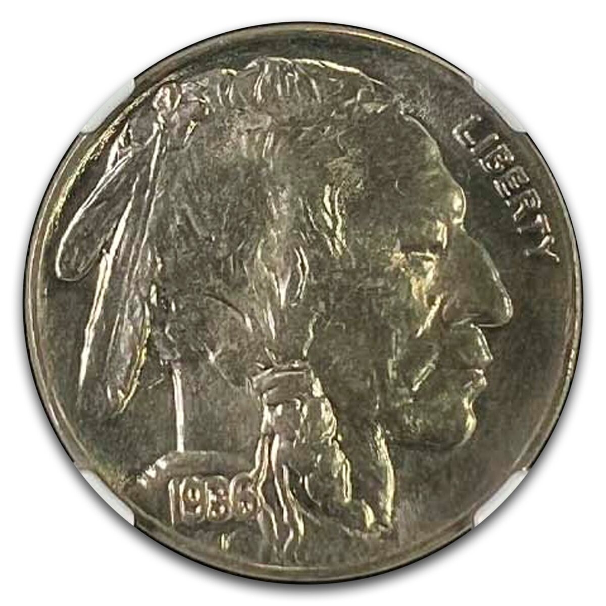 1936 Buffalo Nickel MS-66 NGC