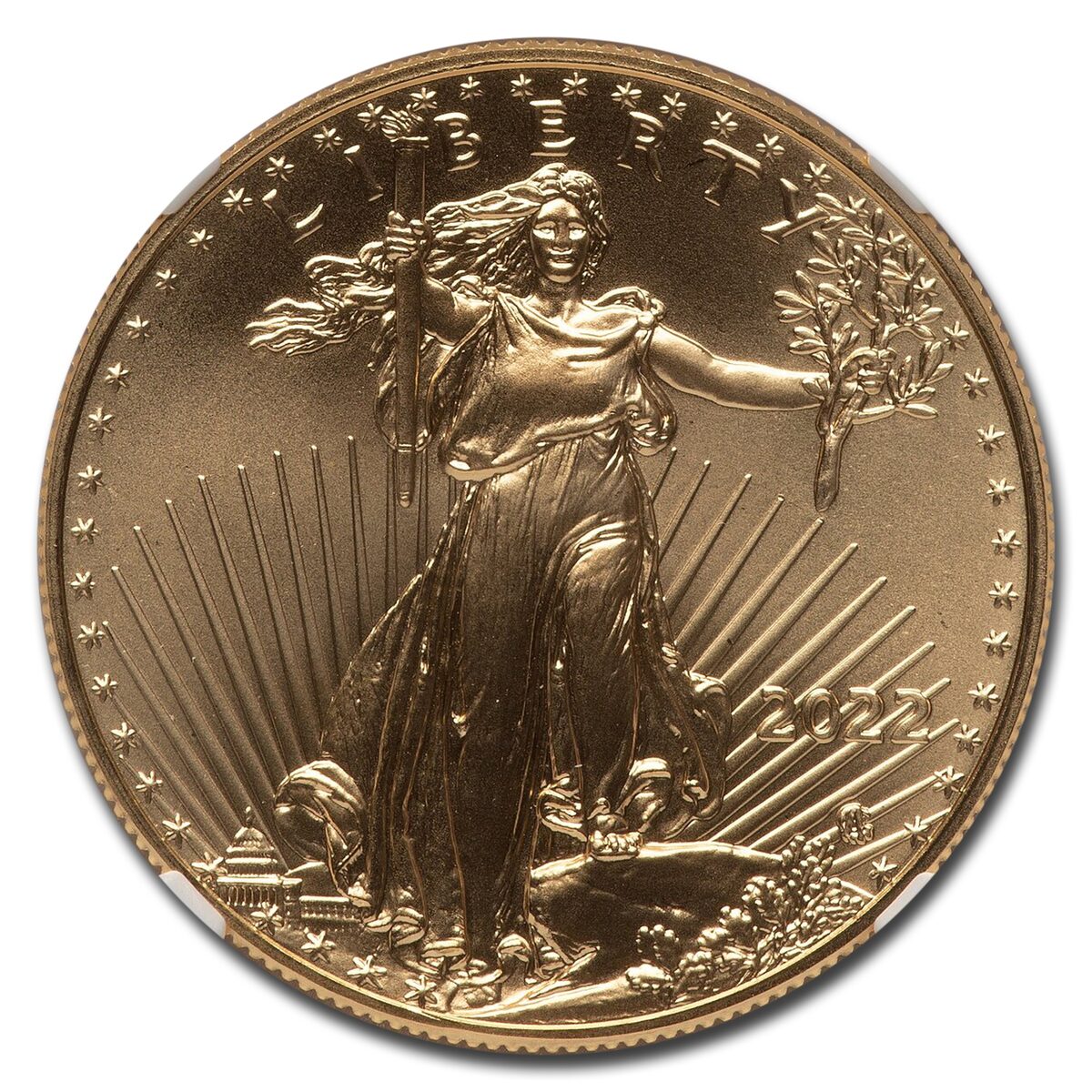2022 1 oz American Gold Eagle MS-70 NGC (Castle)