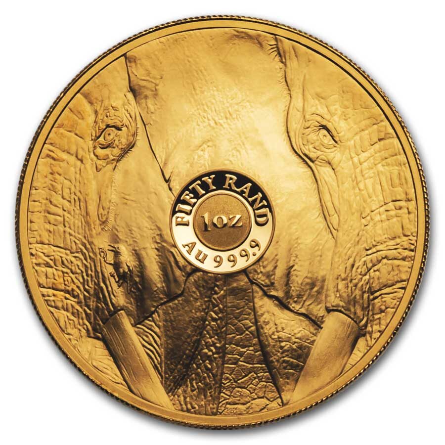 2024 South Africa 1 oz Proof Gold Big Five Elephant