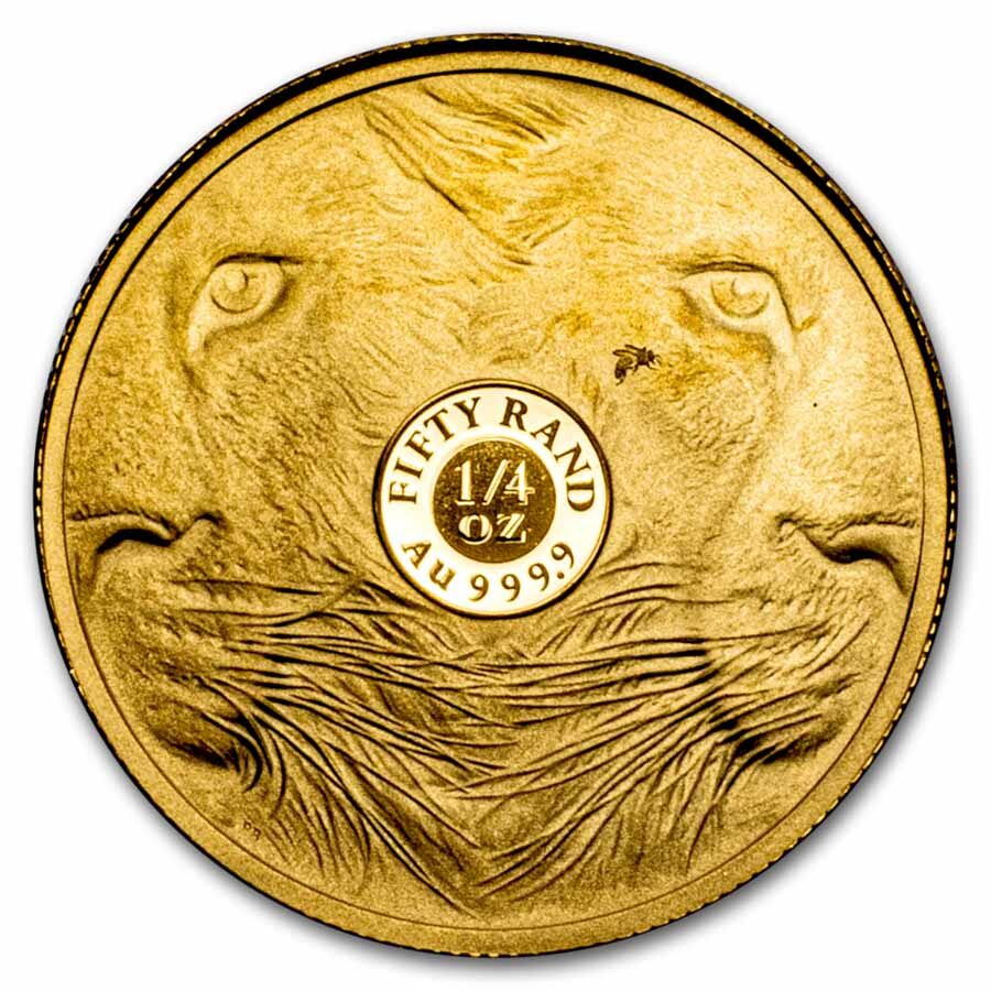 2025 South Africa 1/4 oz Proof Gold Big Five Lion (w/ Box & COA)