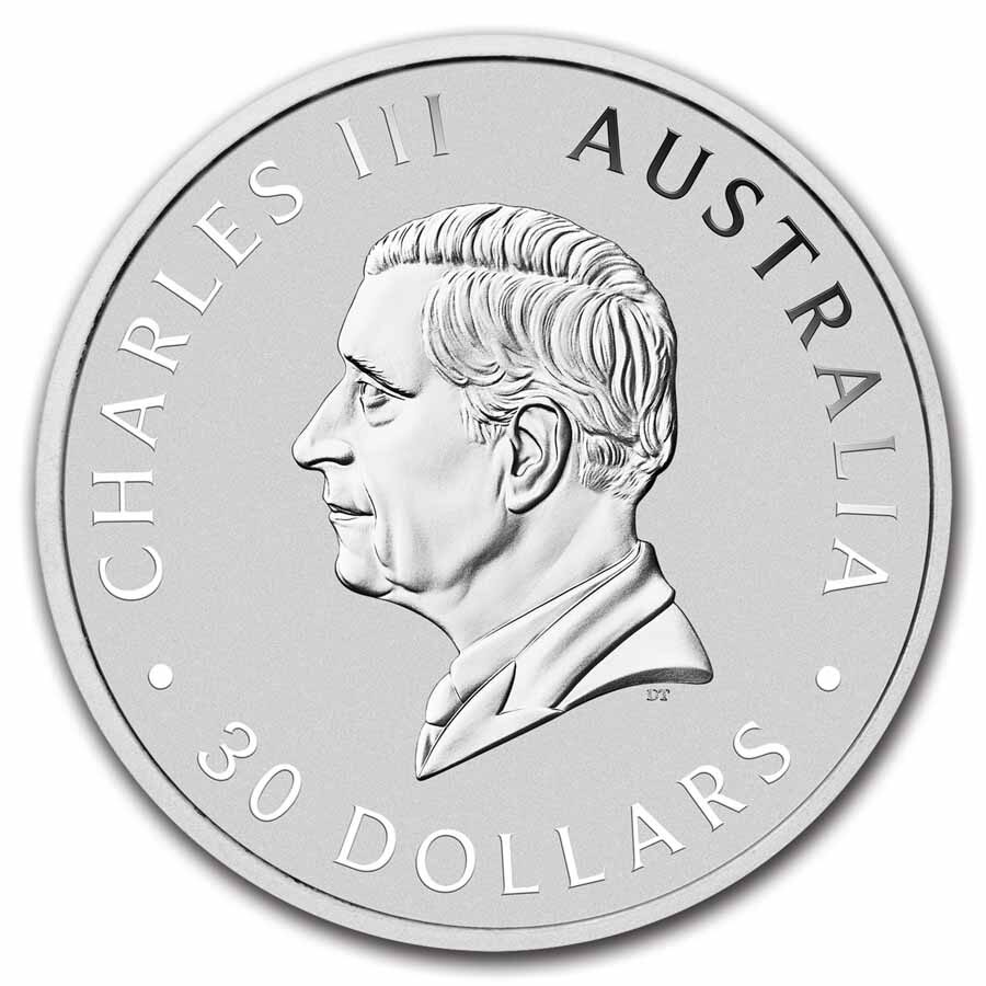 2025 Australia 1 kilo Silver Koala BU