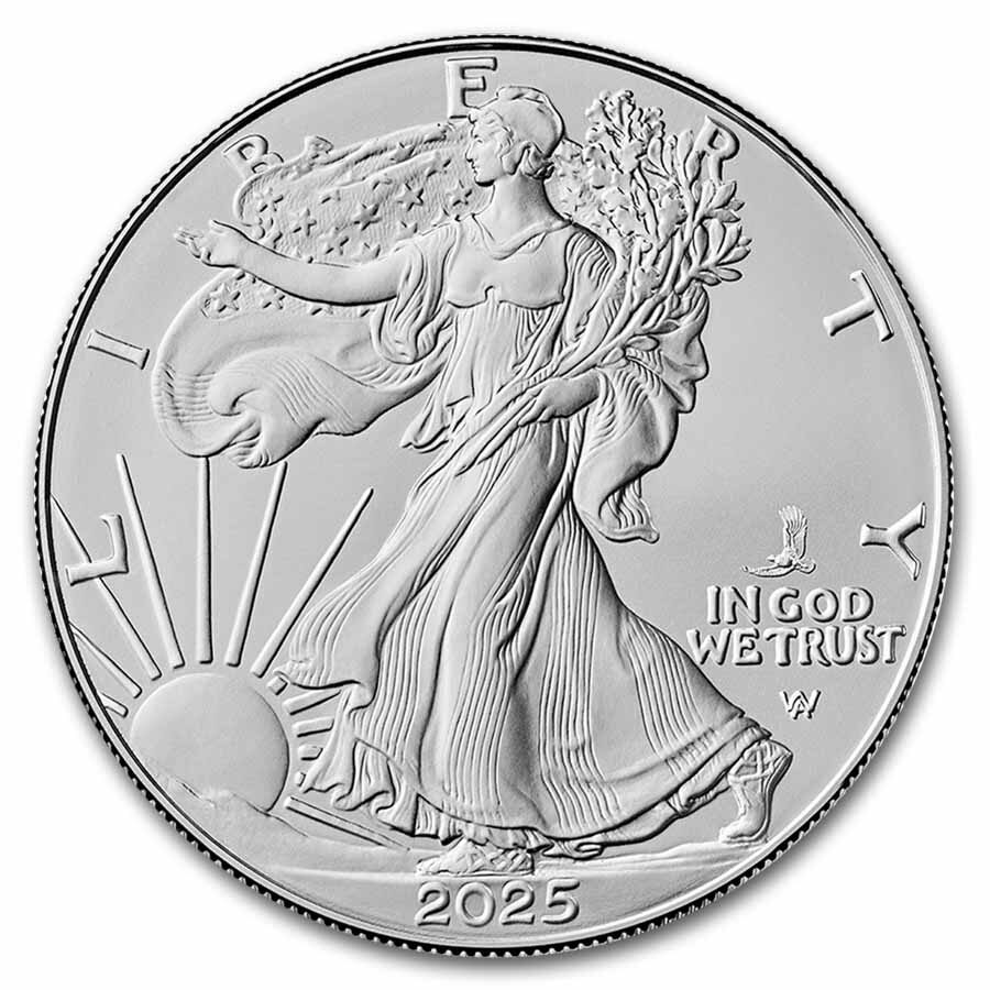 2025-(P) American Silver Eagle (Eagle Privy) MS-69 PCGS