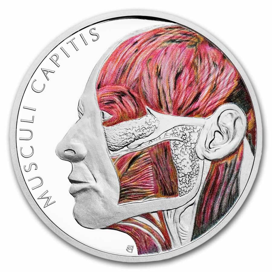 2025 Niue 1 oz Silver Proof Colorized Human Body - Head Muscles