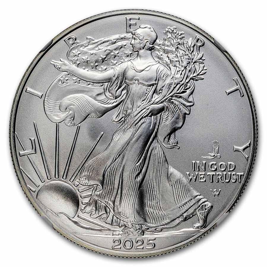 2025-(P) American Silver Eagle (Eagle Privy) MS-69 NGC