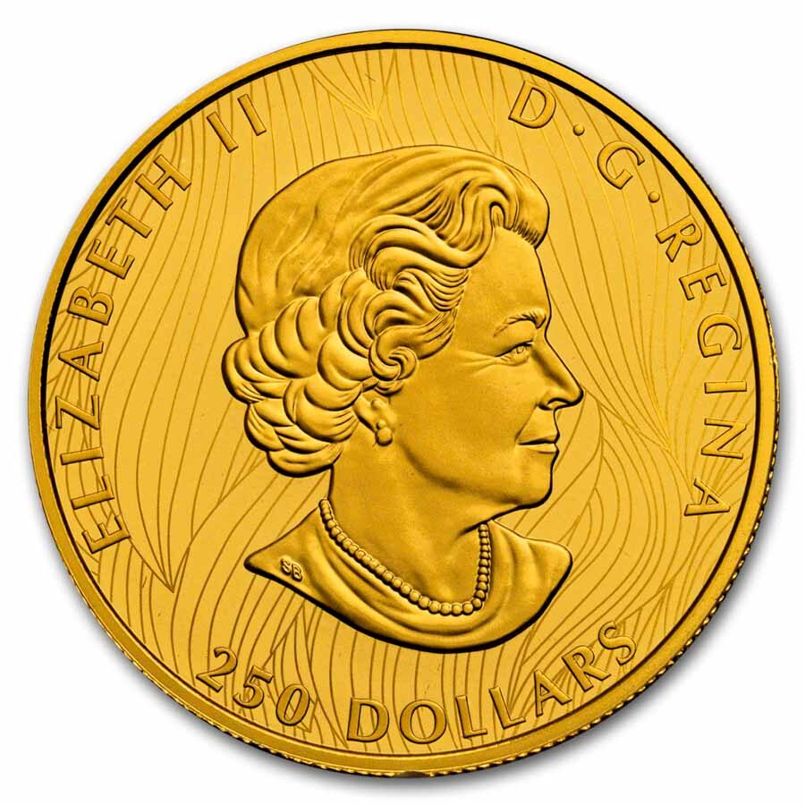 2021 Canada Proof Gold $250 Bold Bison EHR