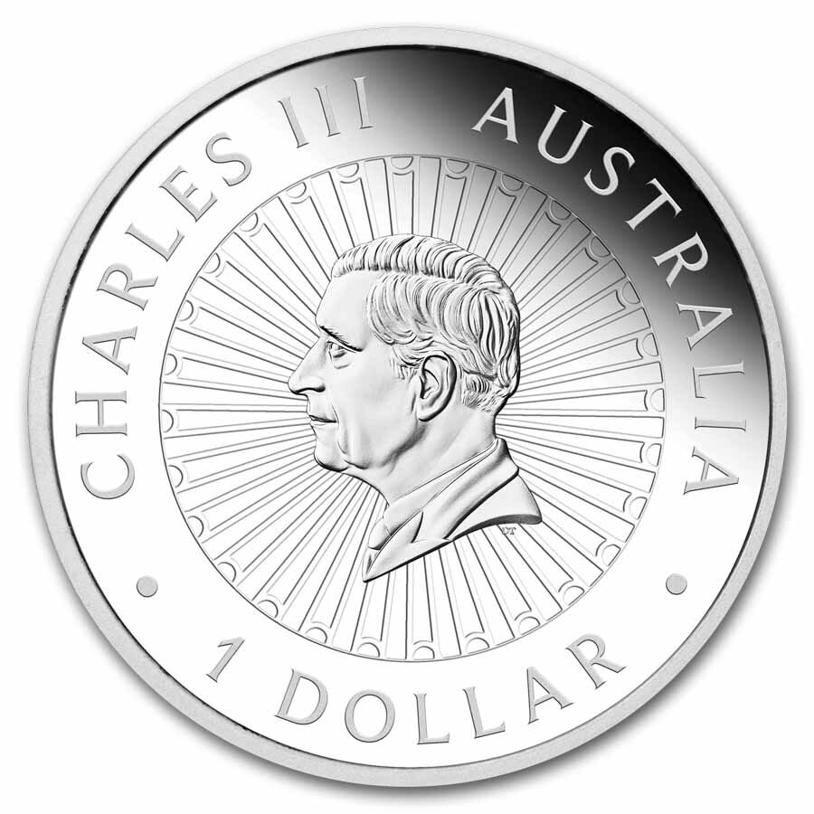 2025 AUS 1 oz Silver Snakeskin Jasper Great Southern Land Proof