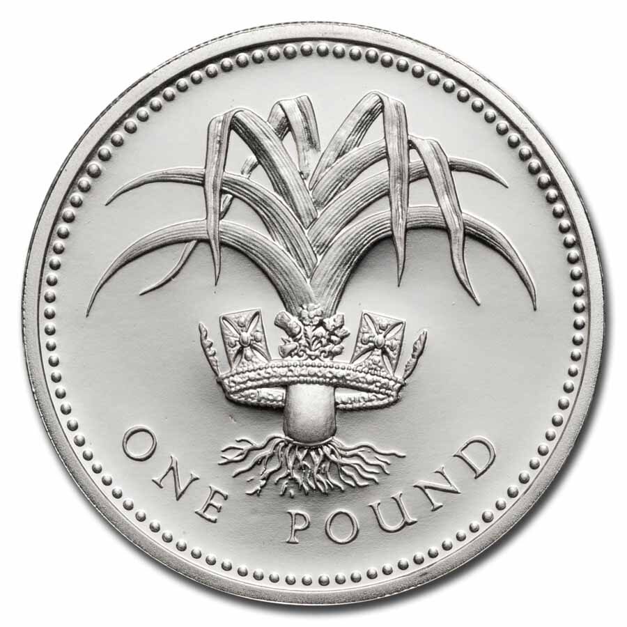 1983-2002 United Kingdom Silver £1 Proof