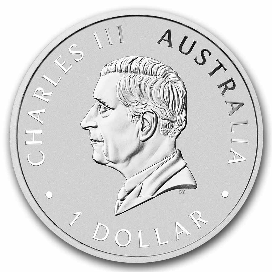 2025 AUS 1 oz Silver Koala Beijing Expo Colorized Panda Privy
