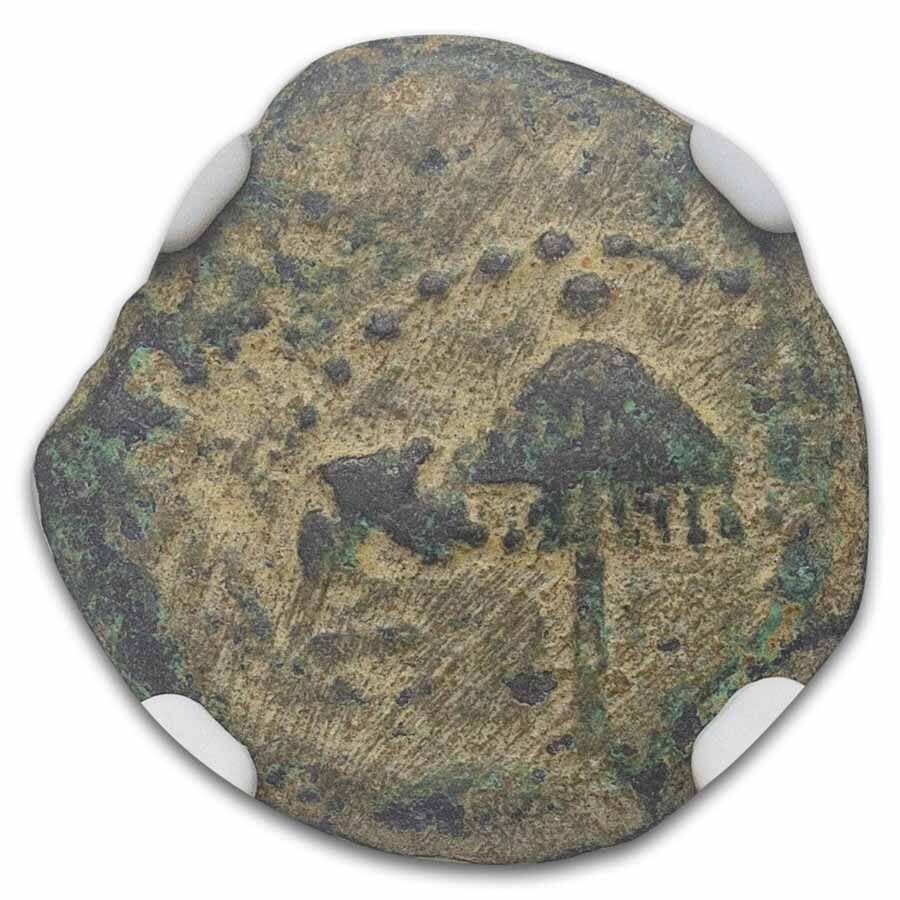 Ancient Judaea AE Prutah Agrippa I (37-44 AD) Ch Fine NGC