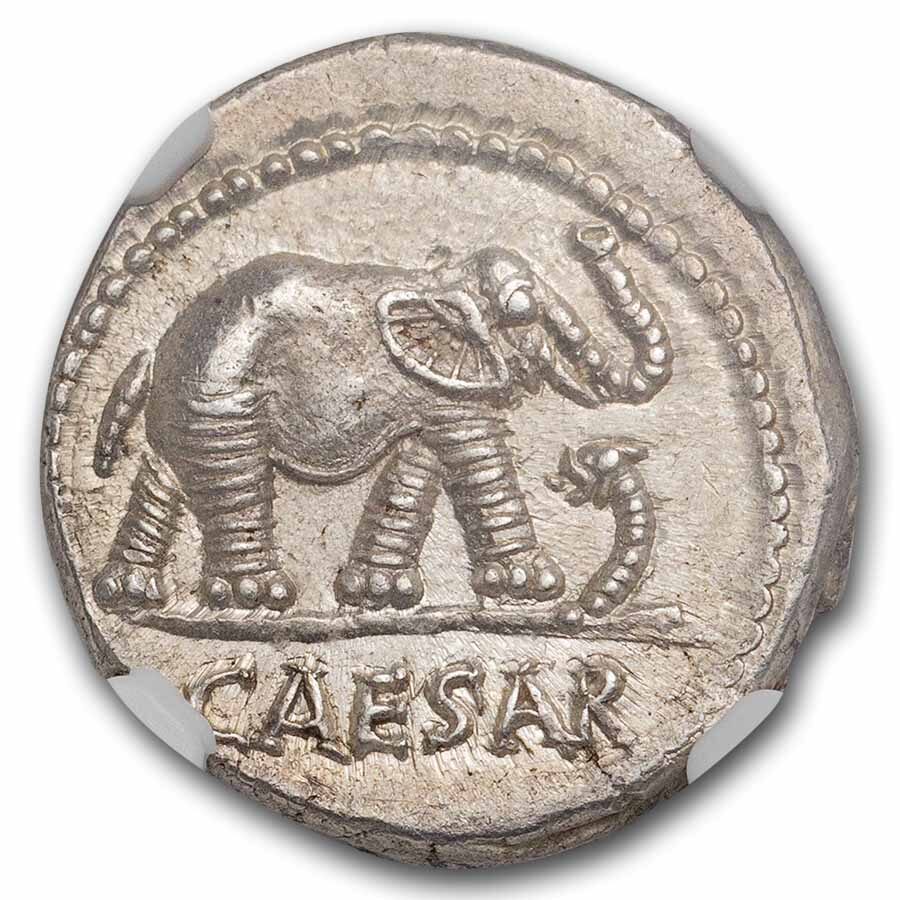 Roman Silver Denarius Julius Caesar Elephant (44 BC) MS NGC 4/5