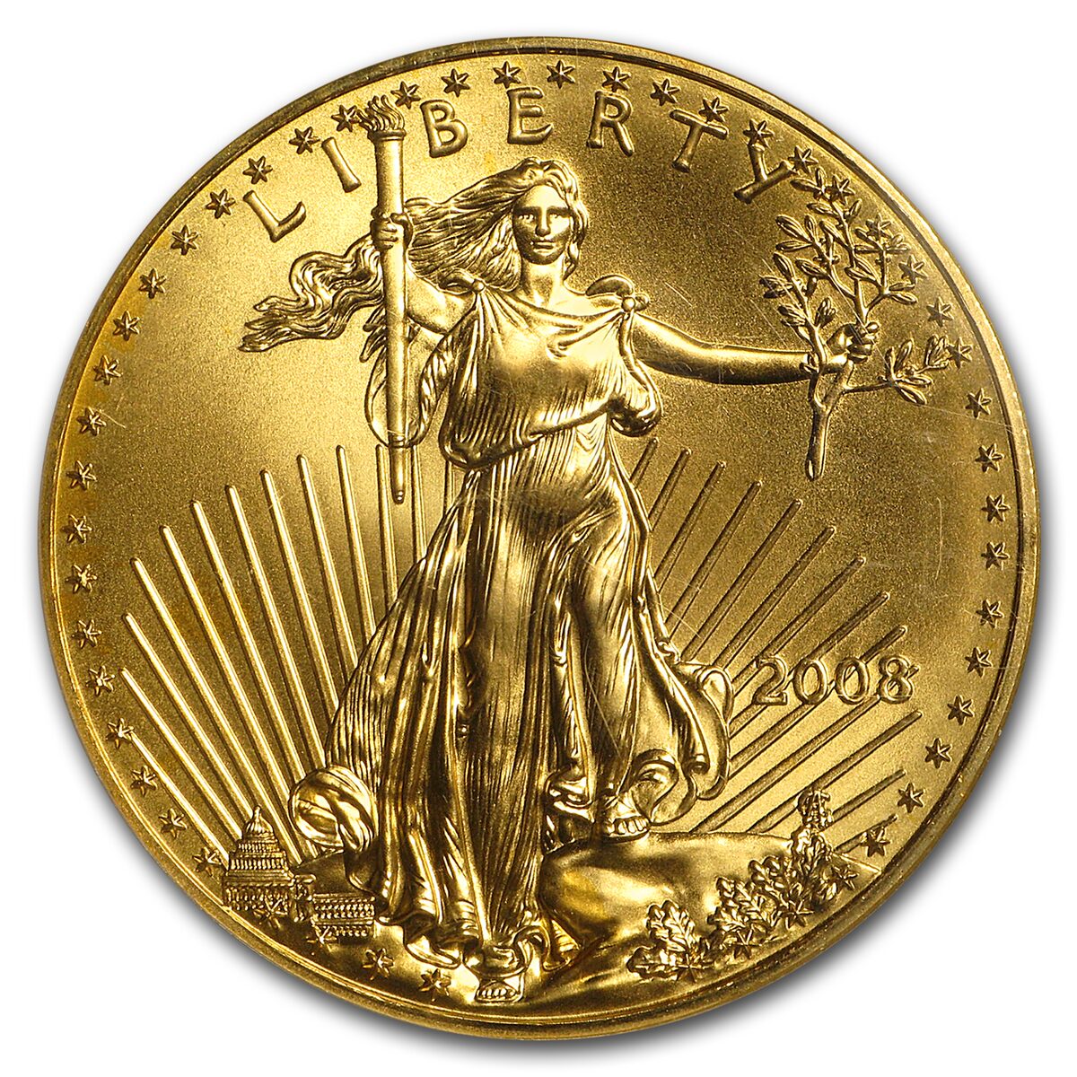 2008 1 oz American Gold Eagle MS-70 PCGS (FS)