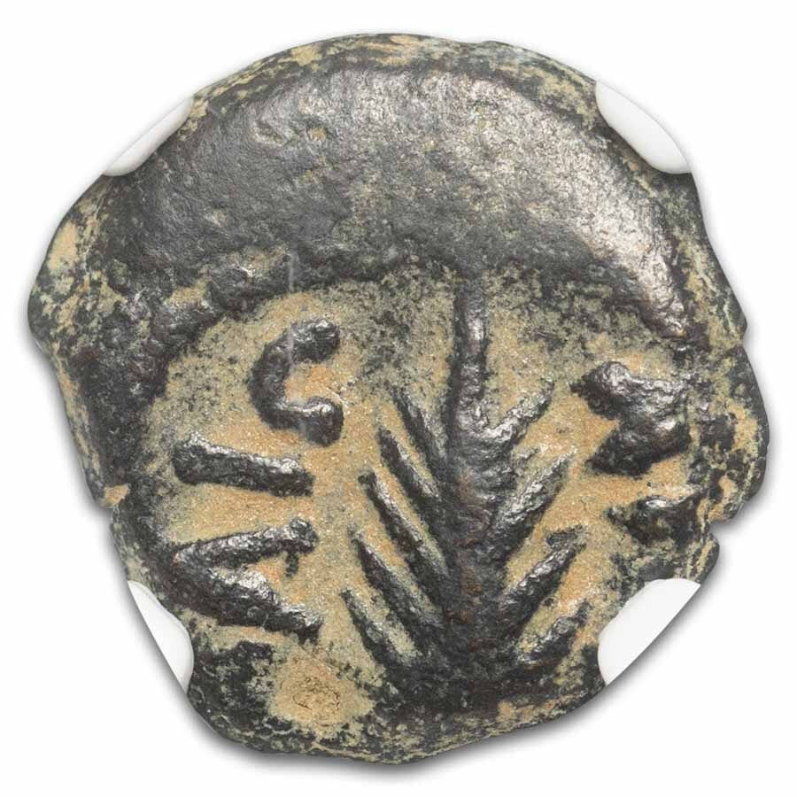 Governors of Judaea AE Prutah Porcius Festus (59-62 AD) VF NGC