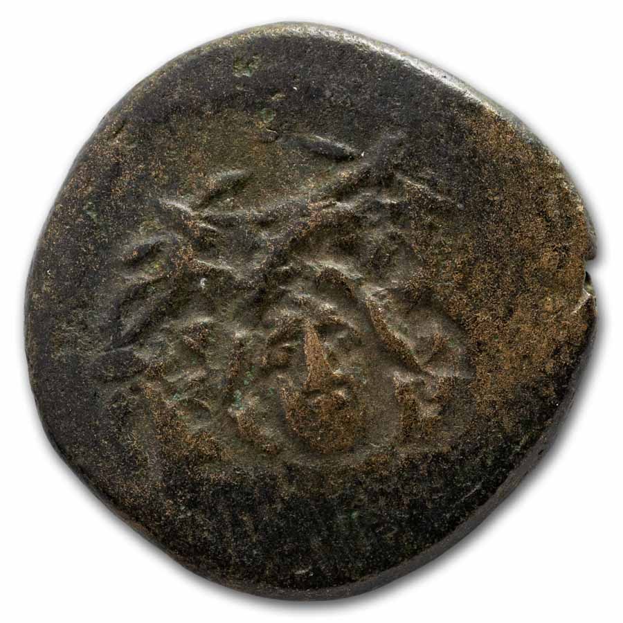 The Aegis Collection: Bronze Tetrachalkous with COA