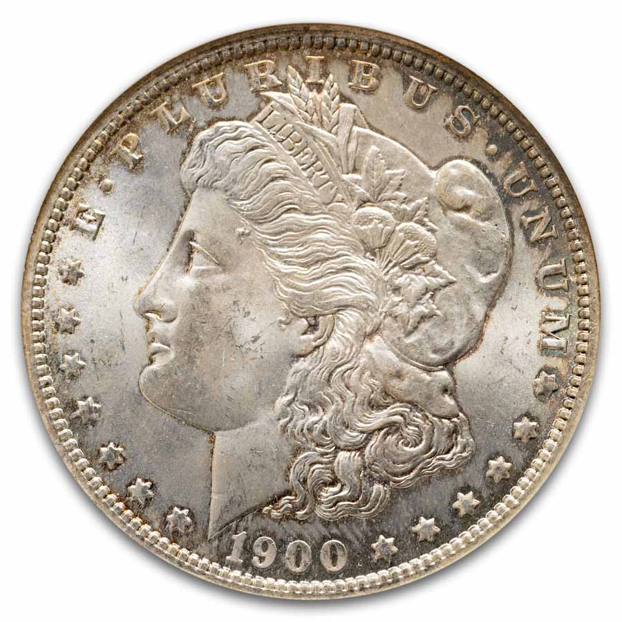 1878-1904 Morgan Dollars MS-64 NGC (Fatty Holder, Damaged)