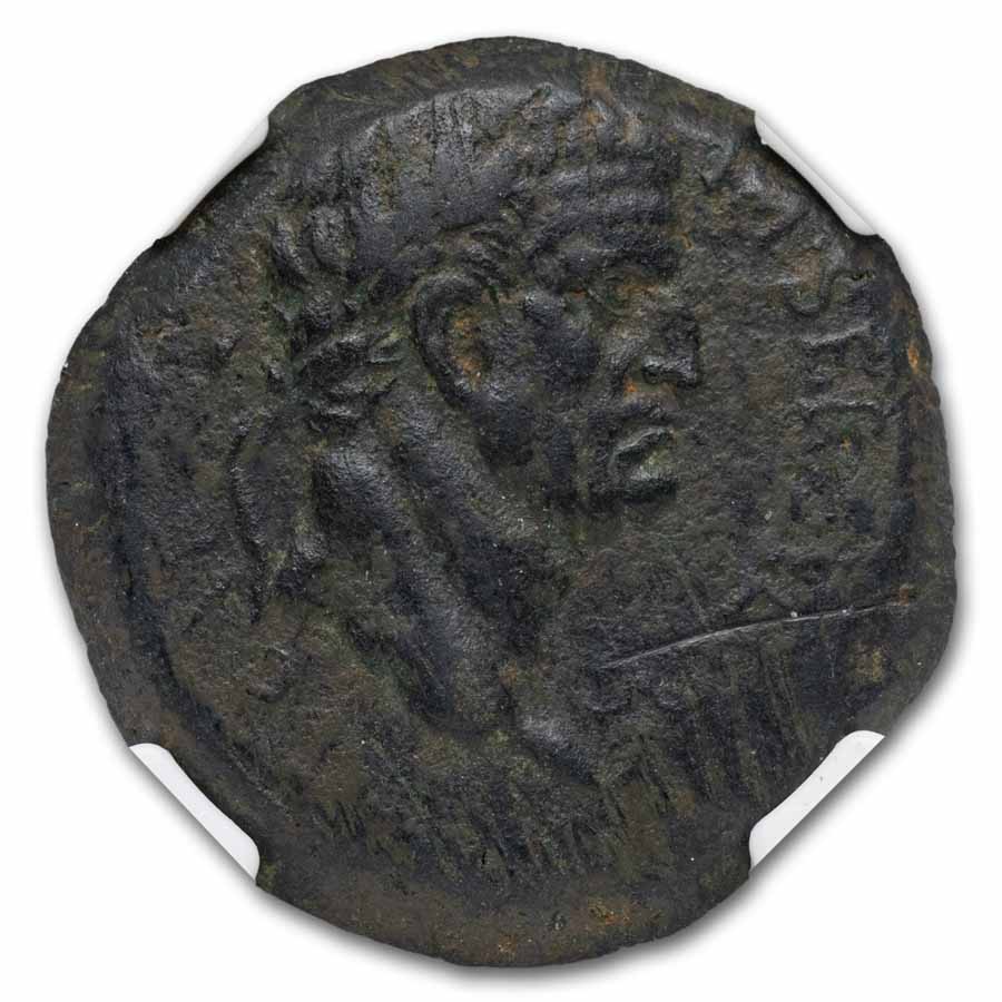 Roman Syria AE30 Galba (68-69 AD) Ch VF NGC