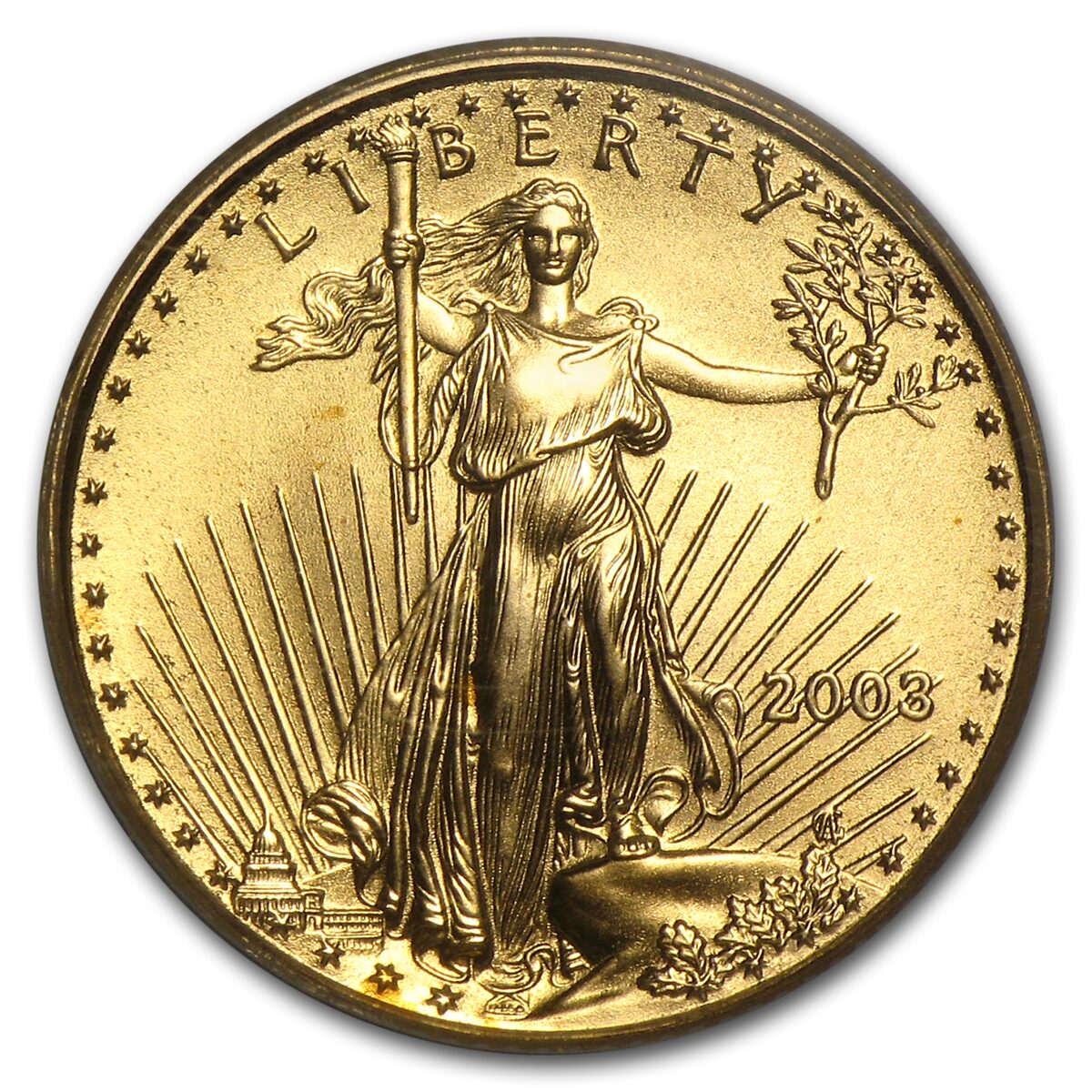 2003 1/10 oz American Gold Eagle MS-70 PCGS