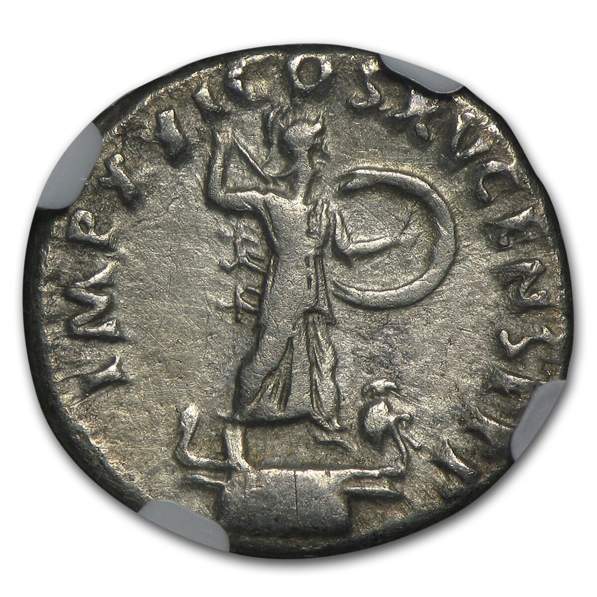 Roman Silver Denarii Emperor Domitian (81-96 AD) VF NGC