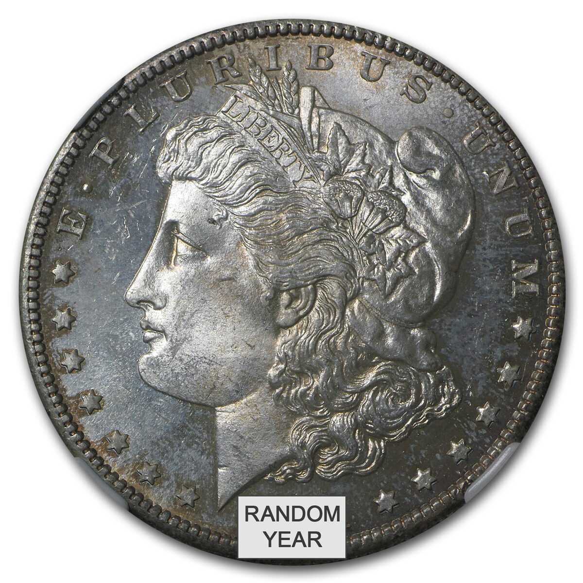 1878-1904 Morgan Dollars MS-65 NGC (Toned Obv/Rev or Both)
