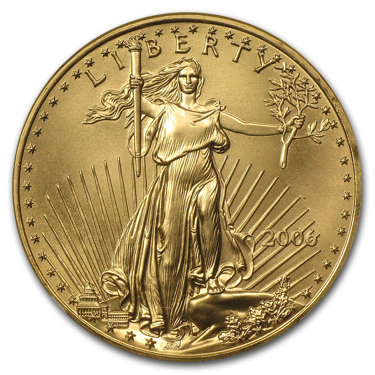 2006 1 oz American Gold Eagle MS-70 NGC (First Strike)
