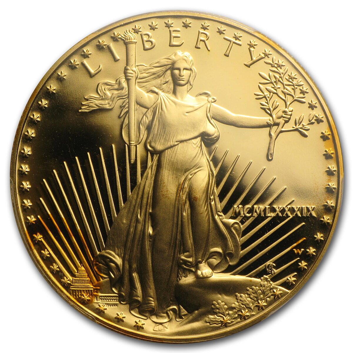 1989-W 1 oz Proof American Gold Eagle PR-70 DCAM PCGS