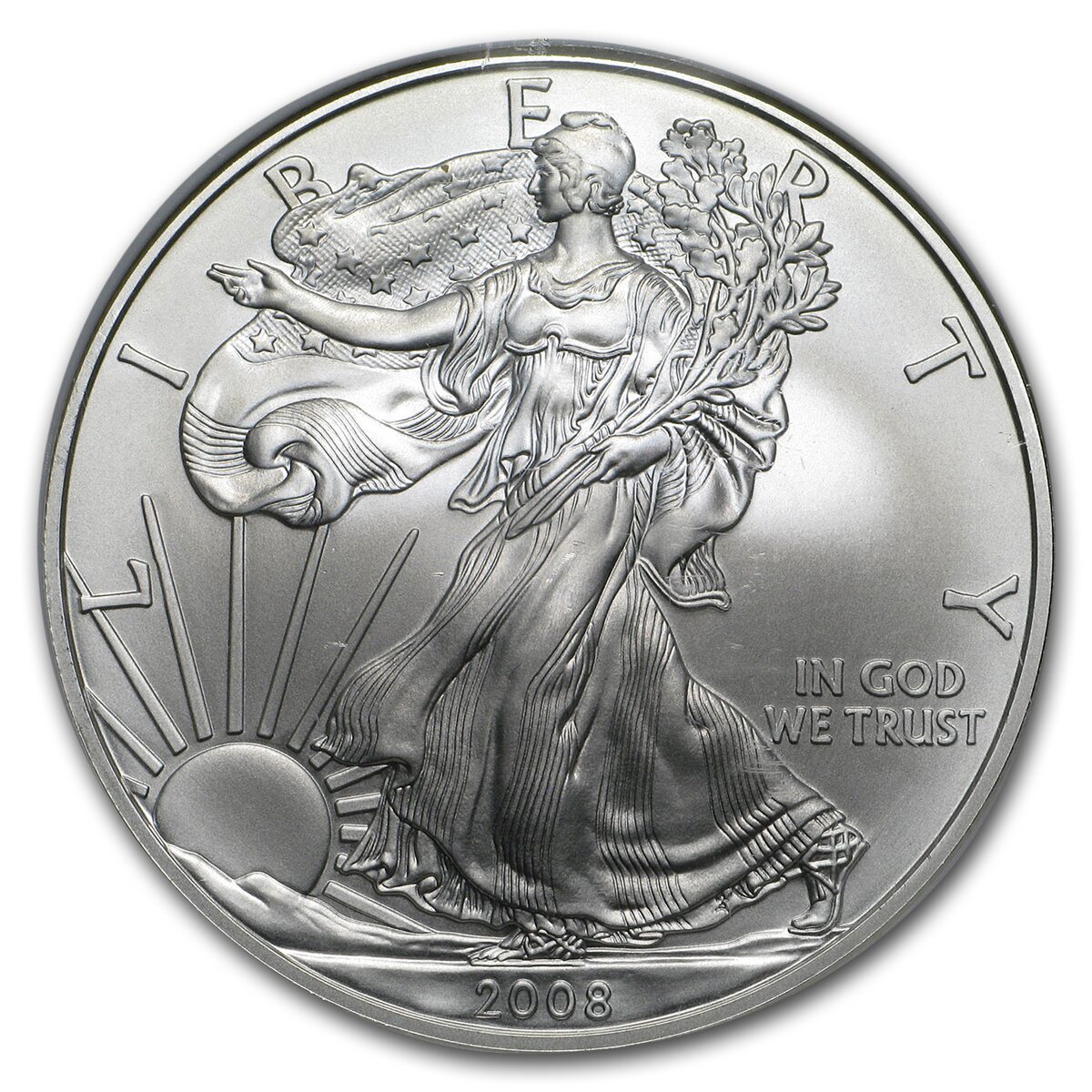 2008-W Burnished American Silver Eagle MS-69 NGC (ER, Rev '07)
