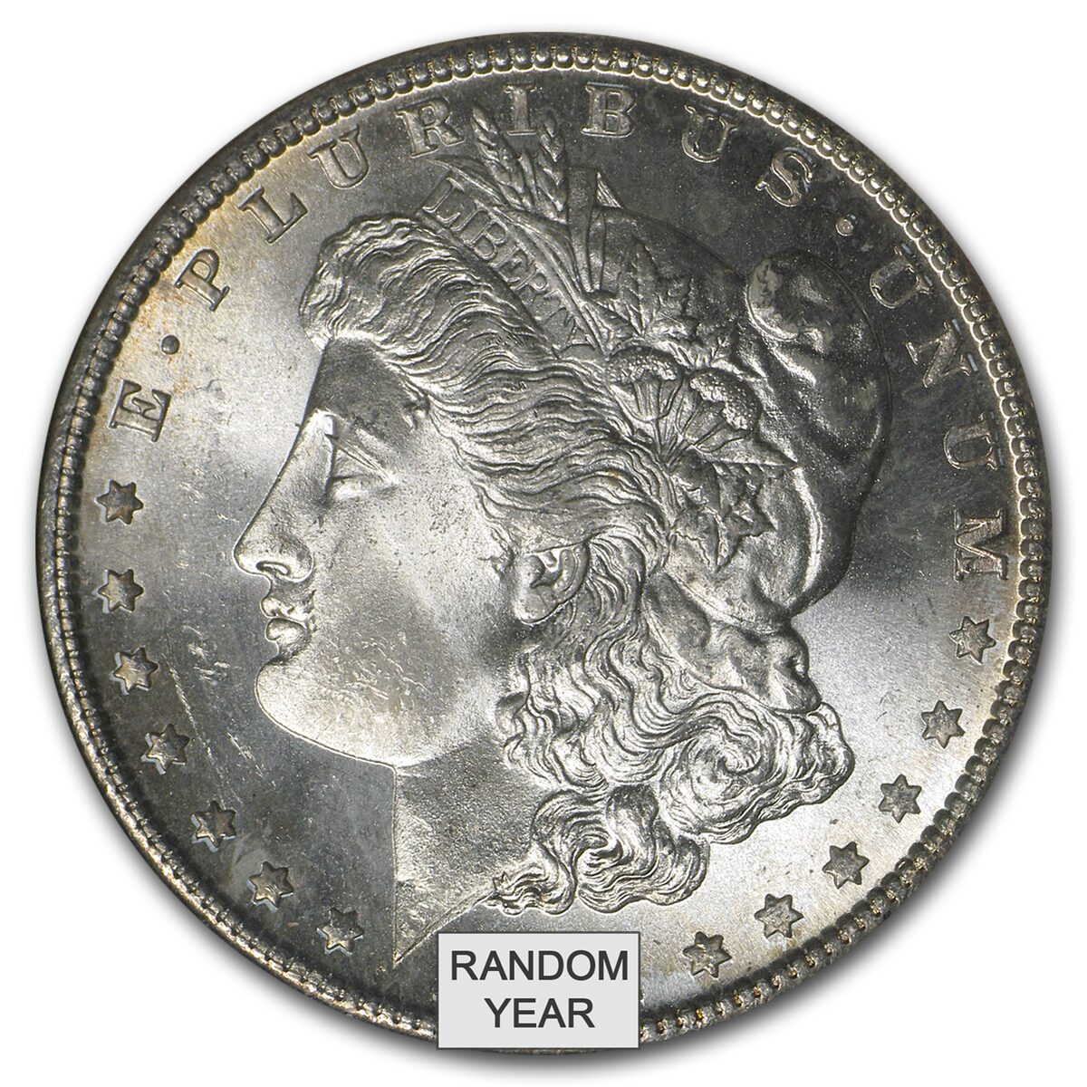 1878-1904 Morgan Dollars MS-66 NGC