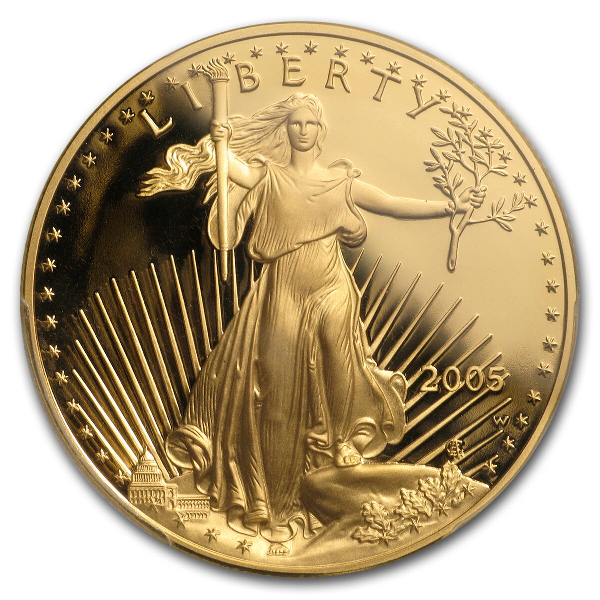2005-W 1 oz Proof American Gold Eagle PR-70 DCAM PCGS