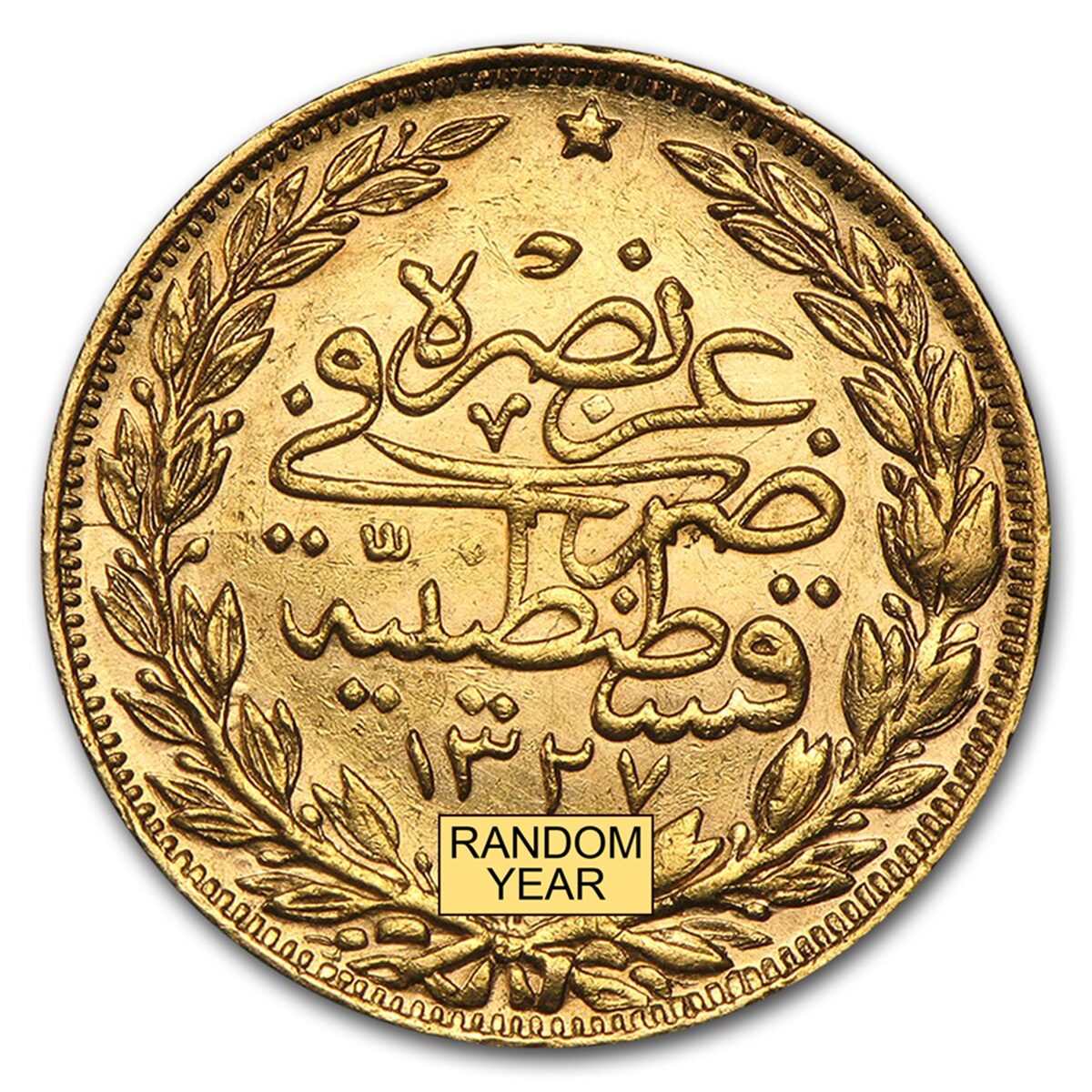 Ottoman Gold 100 Kurush (Random) Avg Circ