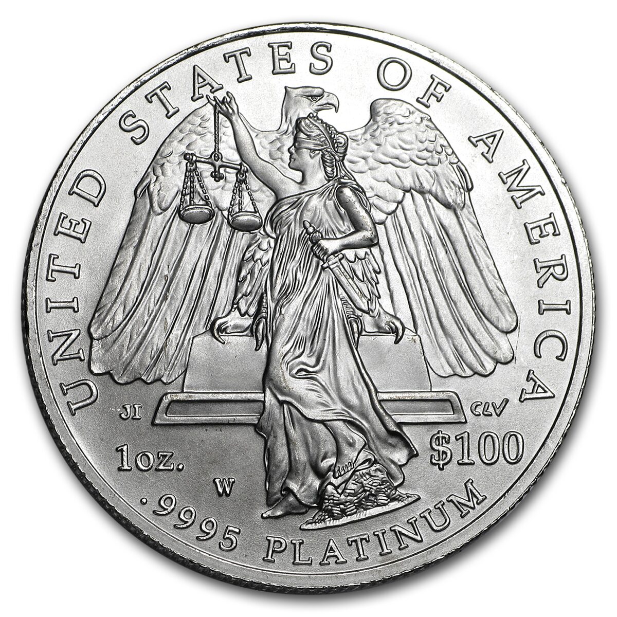 2008-W 1 oz Burnished American Platinum Eagle (w/Box & COA)