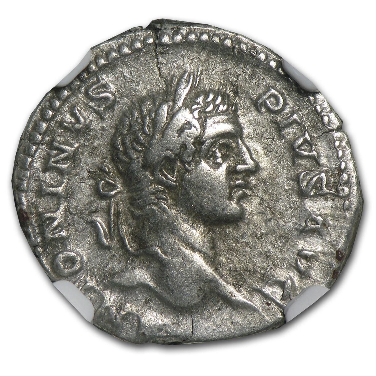Roman Silver Denarius Caracalla (198-217 AD) Ch Fine NGC