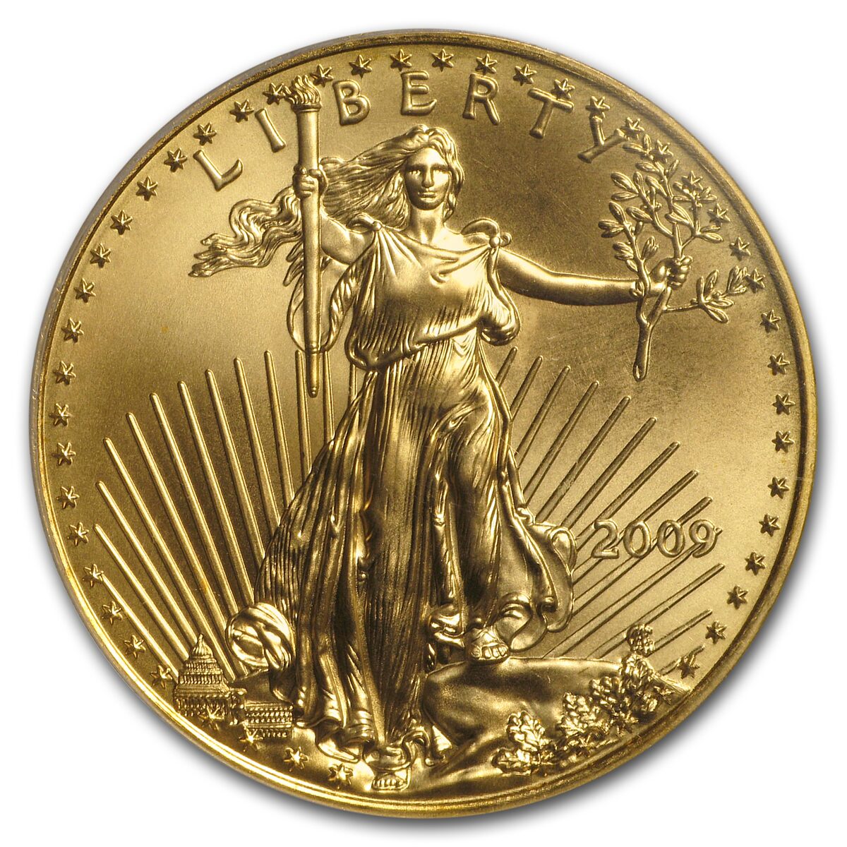 2009 1 oz American Gold Eagle MS-70 PCGS