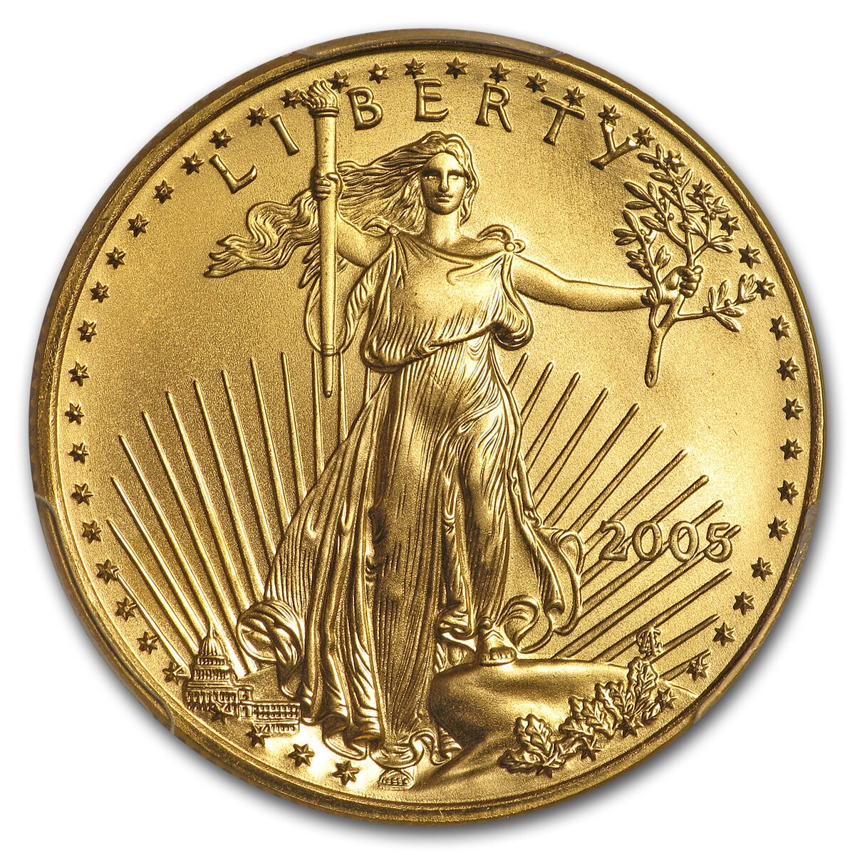 2005 1/2 oz American Gold Eagle MS-69 PCGS