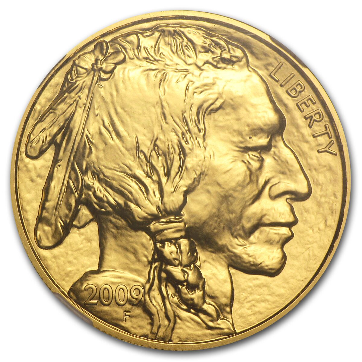 2009 1 oz Gold Buffalo MS-69 NGC (Early Releases)