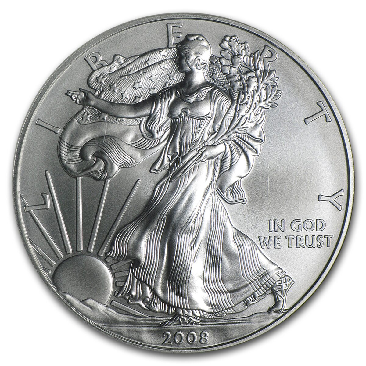 2008-W Burnished American Silver Eagle MS-69 NGC (ER)