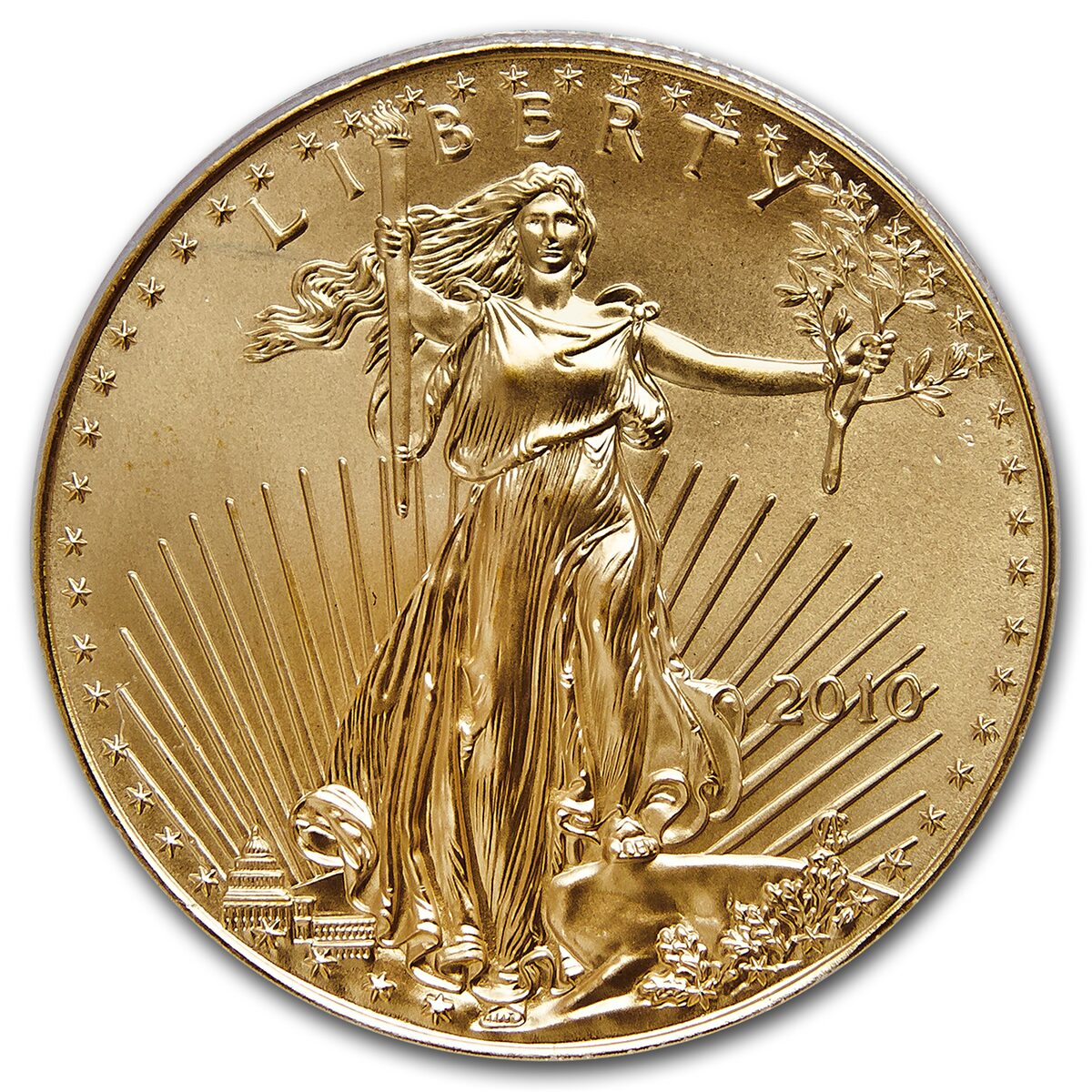 2010 1 oz American Gold Eagle MS-70 PCGS (FS)