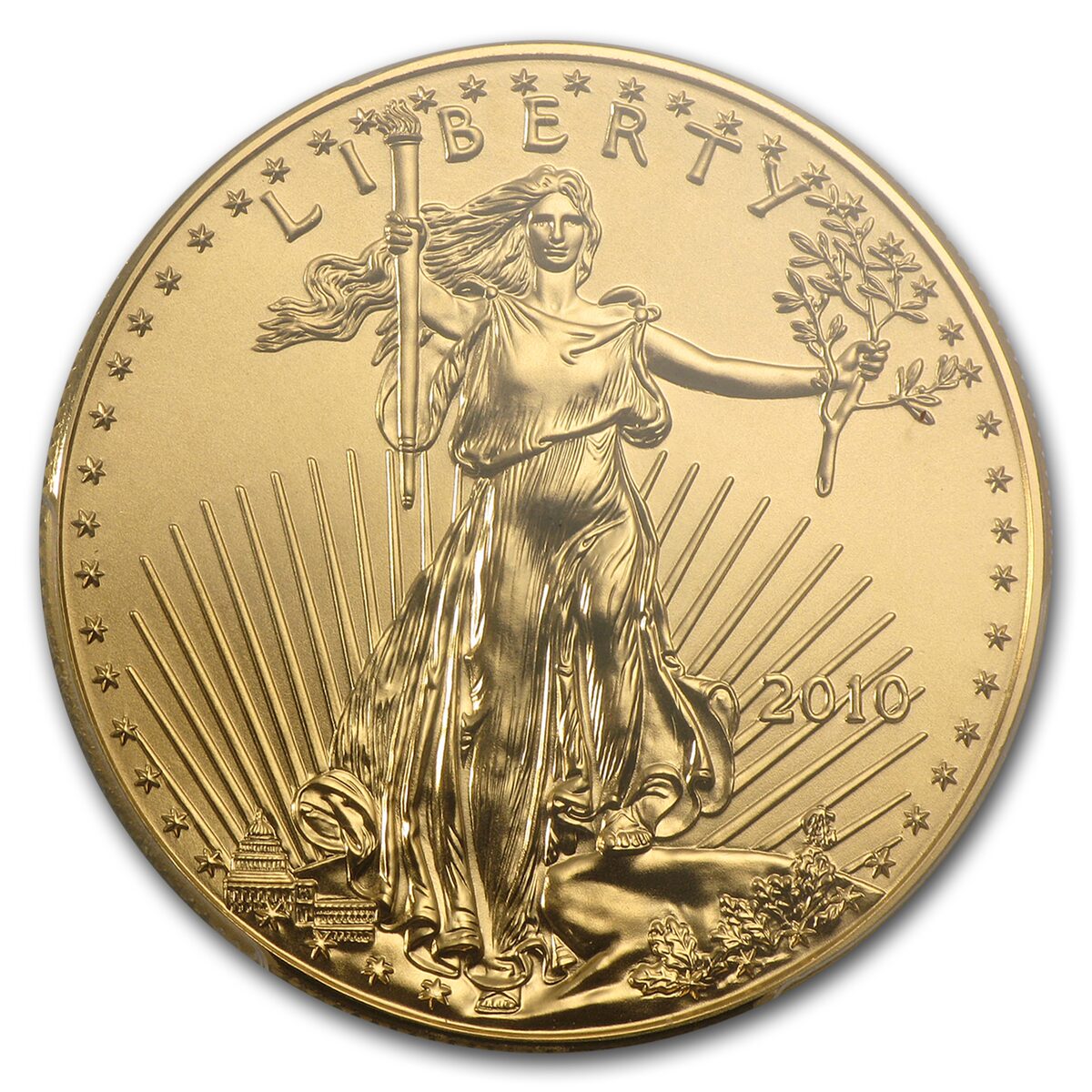 2010 1 oz American Gold Eagle MS-70 PCGS