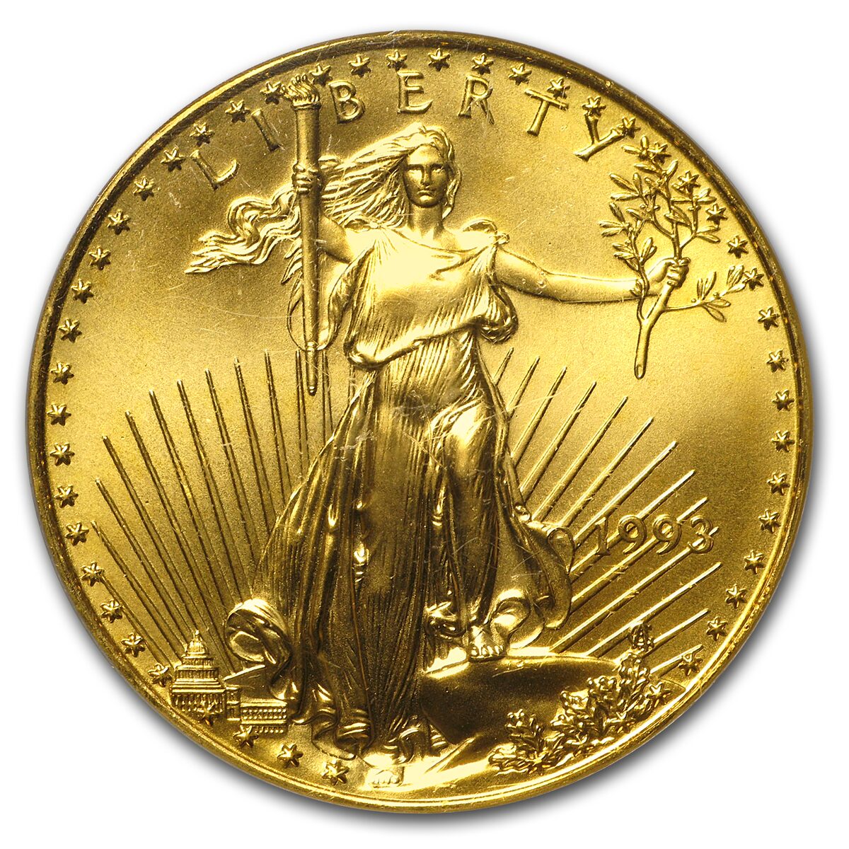 1993 1 oz American Gold Eagle Gem Unc PCGS (World Trade Center)